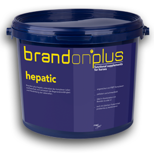 Brandonplus hepatic