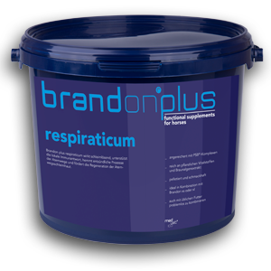 Brandonplus respiraticum